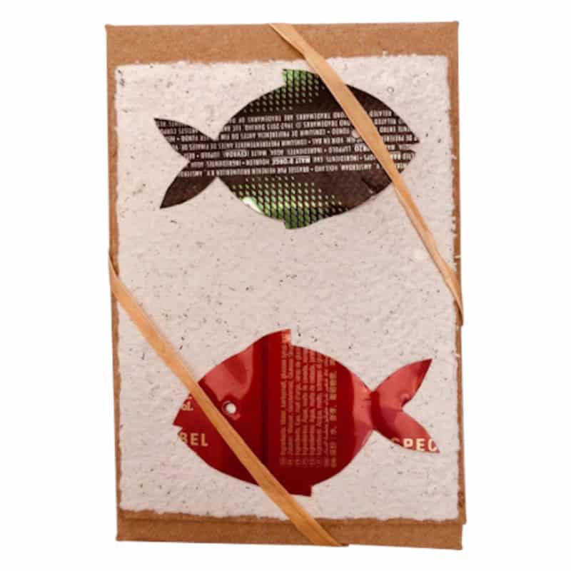 SAFARI – Fische, Recycling-Grußkarten